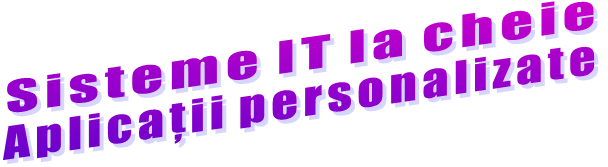 Sisteme IT la cheie Aplicații personalizate
